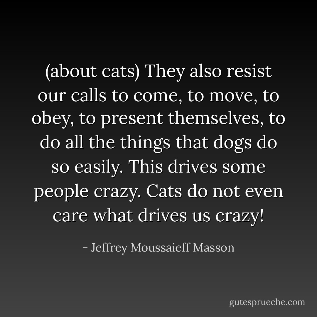 (about cats) They also resist our calls to come, to move, to obey, to present themselves, to do all the things that dogs do so easily. This drives some people crazy. Cats do not even care what drives us crazy! - Jeffrey Moussaieff Masson