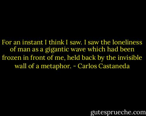 For an instant I think I saw. I saw the loneliness of man as a gigantic wave which had been frozen in front of me, held back by the invisible wall of a metaphor. - Carlos Castaneda