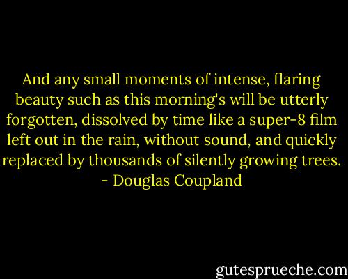 And any small moments of intense, flaring beauty such as this morning's will be utterly forgotten, dissolved by time like a super-8 film left out in the rain, without sound, and quickly replaced by thousands of silently growing trees. - Douglas Coupland