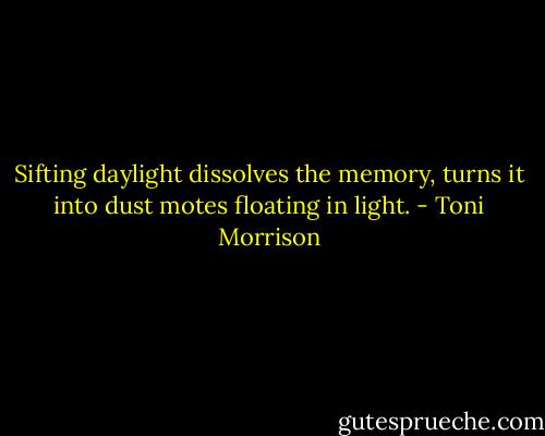 Sifting daylight dissolves the memory, turns it into dust motes floating in light. - Toni Morrison