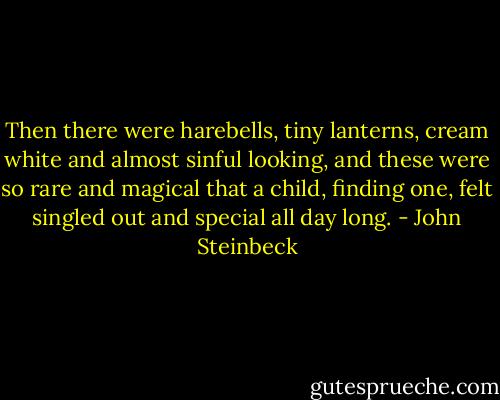 Then there were harebells, tiny lanterns, cream white and almost sinful looking, and these were so rare and magical that a child, finding one, felt singled out and special all day long. - John Steinbeck