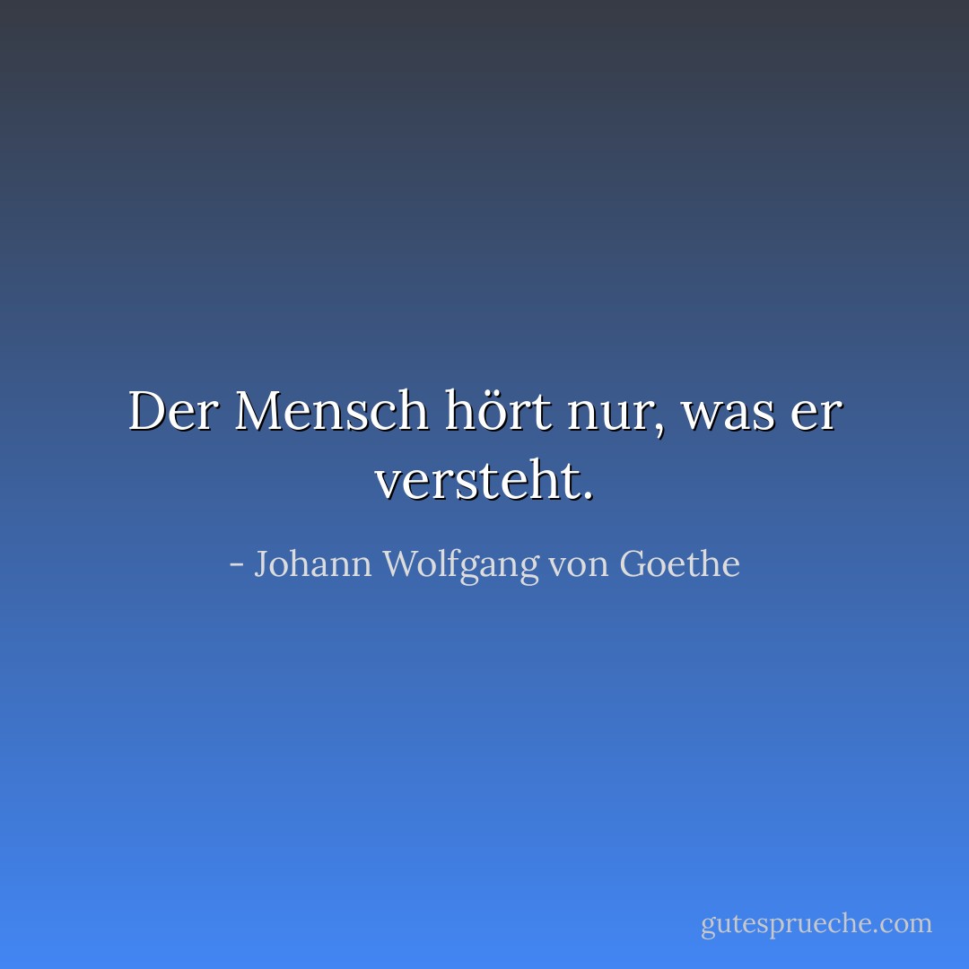 Der Mensch hört nur, was er versteht. - Johann Wolfgang von Goethe<