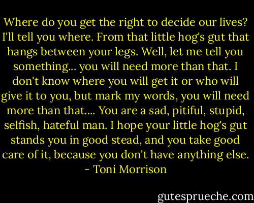 Where do you get the right to decide our lives? I'll tell you where. From that little hog's gut that hangs between your legs. Well, let me tell you something... you will need more than that. I don't know where you will get it or who will give it to you, but mark my words, you will need more than that.... You are a sad, pitiful, stupid, selfish, hateful man. I hope your little hog's gut stands you in good stead, and you take good care of it, because you don't have anything else. - Toni Morrison