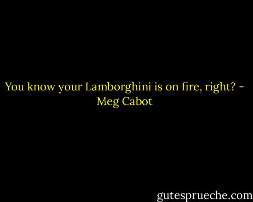 You know your Lamborghini is on fire, right? - Meg Cabot