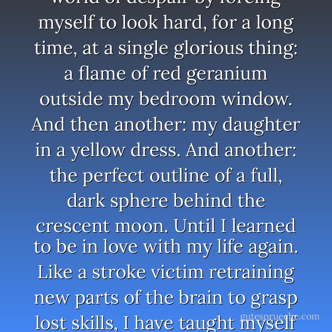 In my own worst seasons I've come back from the colorless world of despair by forcing myself to look hard, for a long time, at a single glorious thing: a flame of red geranium outside my bedroom window. And then another: my daughter in a yellow dress. And another: the perfect outline of a full, dark sphere behind the crescent moon. Until I learned to be in love with my life again. Like a stroke victim retraining new parts of the brain to grasp lost skills, I have taught myself joy, over and over again(15). - Barbara Kingsolver