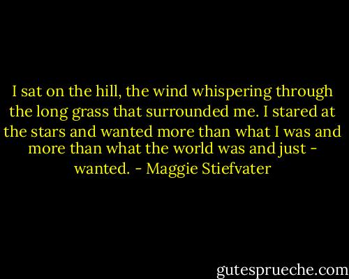 I sat on the hill, the wind whispering through the long grass that surrounded me. I stared at the stars and wanted more than what I was and more than what the world was and just - wanted. - Maggie Stiefvater