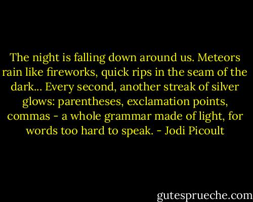 The night is falling down around us. Meteors rain like fireworks, quick rips in the seam of the dark... Every second, another streak of silver glows: parentheses, exclamation points, commas - a whole grammar made of light, for words too hard to speak. - Jodi Picoult