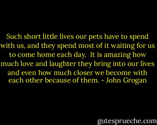 Such short little lives our pets have to spend with us, and they spend most of it waiting for us to come home each day. <br />It is amazing how much love and laughter they bring into our lives and even how much closer we become with each other because of them. - John Grogan