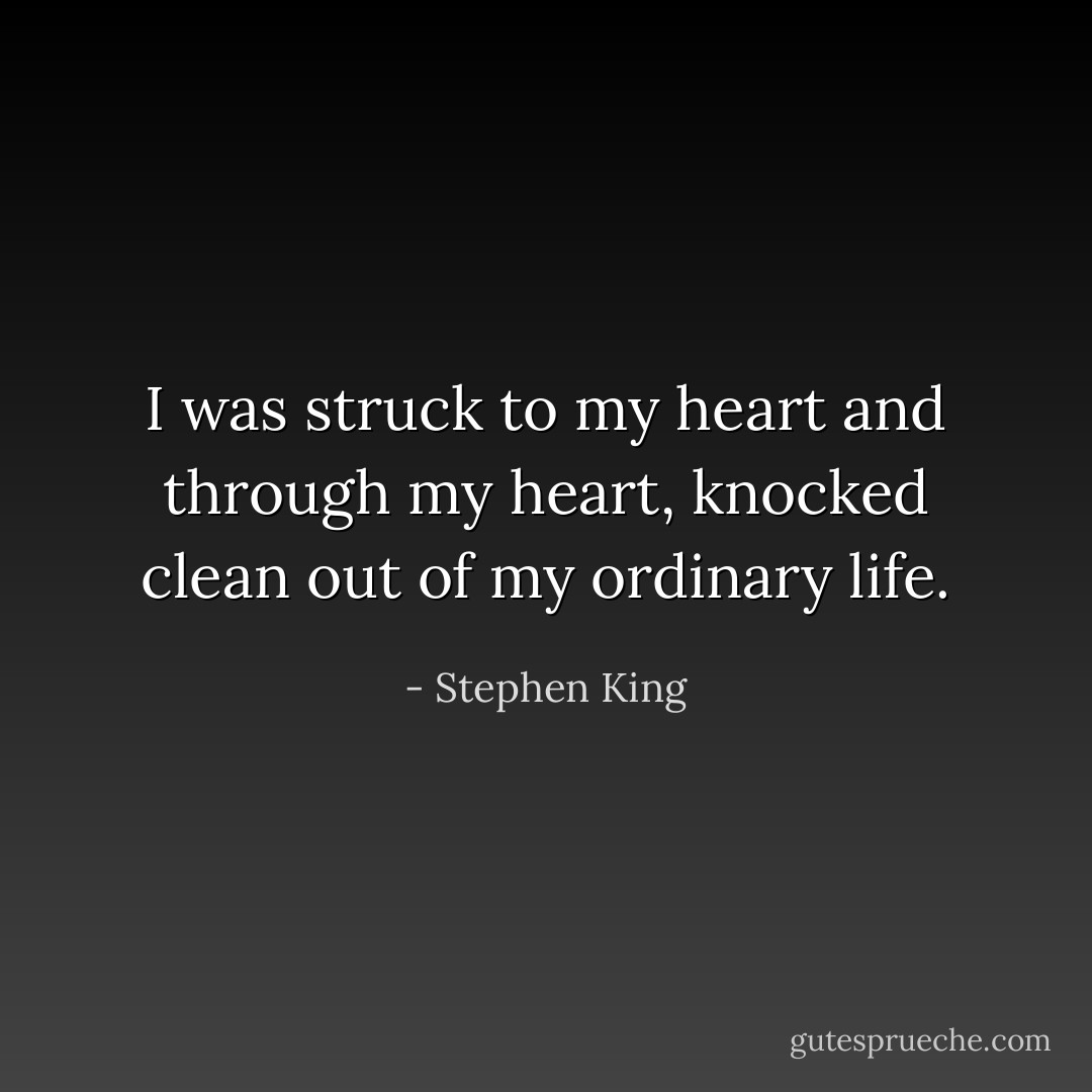 I was struck to my heart and through my heart, knocked clean out of my ordinary life. - Stephen King
