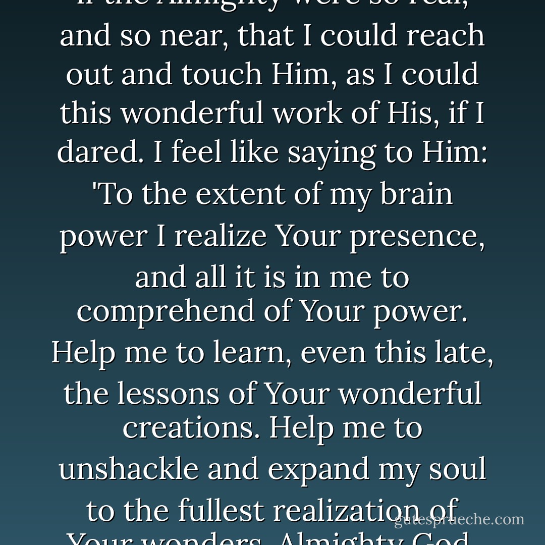 There never was a moment in my life, when I felt so in the Presence, as I do now. I feel as if the Almighty were so real, and so near, that I could reach out and touch Him, as I could this wonderful work of His, if I dared. I feel like saying to Him: 'To the extent of my brain power I realize Your presence, and all it is in me to comprehend of Your power. Help me to learn, even this late, the lessons of Your wonderful creations. Help me to unshackle and expand my soul to the fullest realization of Your wonders. Almighty God, make me bigger, make me broader! - Gene Stratton-Porter