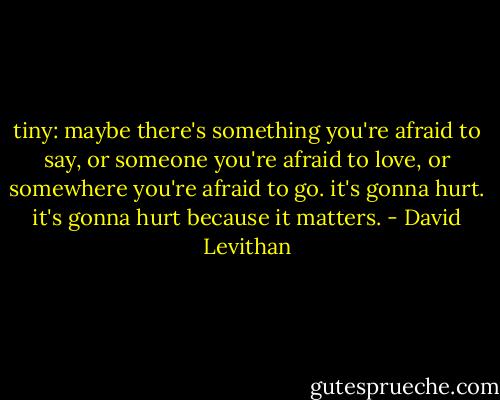 tiny: maybe there's something you're afraid to say, or someone you're afraid to love, or somewhere you're afraid to go. it's gonna hurt. it's gonna hurt because it matters. - David Levithan