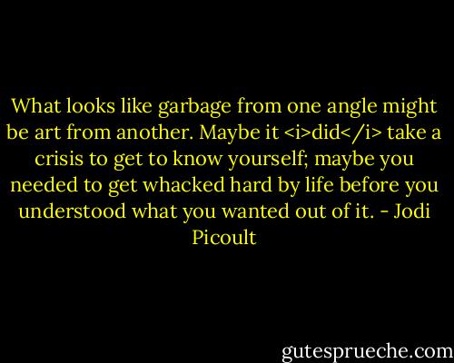 What looks like garbage from one angle might be art from another. Maybe it <i>did</i> take a crisis to get to know yourself; maybe you needed to get whacked hard by life before you understood what you wanted out of it. - Jodi Picoult