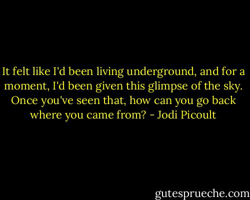 It felt like I'd been living underground, and for a moment, I'd been given this glimpse of the sky. Once you've seen that, how can you go back where you came from? - Jodi Picoult