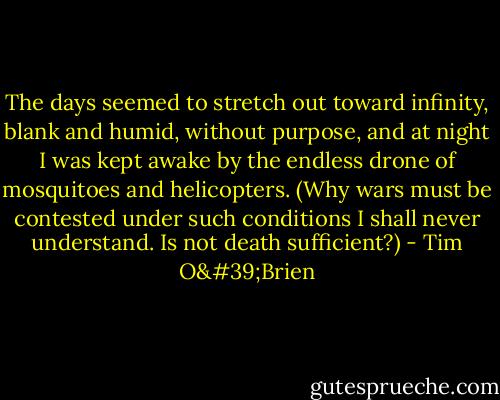 The days seemed to stretch out toward infinity, blank and humid, without purpose, and at night I was kept awake by the endless drone of mosquitoes and helicopters. (Why wars must be contested under such conditions I shall never understand. Is not death sufficient?) - Tim O'Brien