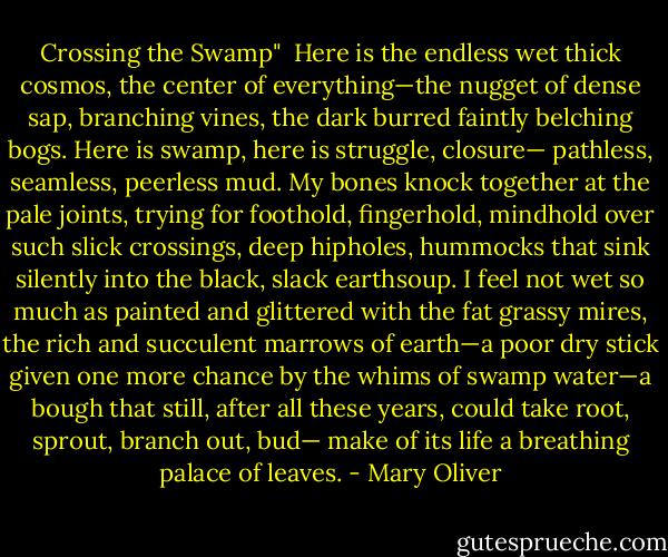 Crossing the Swamp"<br /><br />Here is the endless<br />wet thick<br />cosmos, the center<br />of everything—the nugget<br />of dense sap, branching<br />vines, the dark burred<br />faintly belching<br />bogs. Here<br />is swamp, here<br />is struggle,<br />closure—<br />pathless, seamless,<br />peerless mud. My bones<br />knock together at the pale<br />joints, trying<br />for foothold, fingerhold,<br />mindhold over<br />such slick crossings, deep<br />hipholes, hummocks<br />that sink silently<br />into the black, slack<br />earthsoup. I feel<br />not wet so much as<br />painted and glittered<br />with the fat grassy<br />mires, the rich<br />and succulent marrows<br />of earth—a poor<br />dry stick given<br />one more chance by the whims<br />of swamp water—a bough<br />that still, after all these years,<br />could take root,<br />sprout, branch out, bud—<br />make of its life a breathing<br />palace of leaves. - Mary Oliver