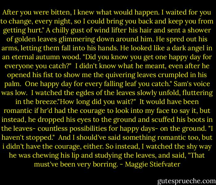 After you were bitten, I knew what would happen. I waited for you to change, every night, so I could bring you back and keep you from getting hurt." A chilly gust of wind lifter his hair and sent a shower of golden leaves glimmering down around him. He spred out his arms, letting them fall into his hands. He looked like a dark angel in an eternal autumn wood. "Did you know you get one happy day for everyone you catch?"<br /><br />I didn't know what he meant, even after he opened his fist to show me the quivering leaves crumpled in his palm.<br /><br />One happy day for every falling leaf you catch." Sam's voice was low.<br /><br />I watched the egdes of the leaves slowly unfold, fluttering in the breeze."How long did you wait?"<br /><br />It would have been romantic if hr'd had the courage to look into my face to say it, but instead, he dropped his eyes to the ground and scuffed his boots in the leaves- countless possibilities for happy days- on the ground. "I haven't stopped."<br /><br />And I should've said something romantic too, but i didn't have the courage, either. So instead, I watched the shy way he was chewing his lip and studying the leaves, and said, "That must've been very borring. - Maggie Stiefvater
