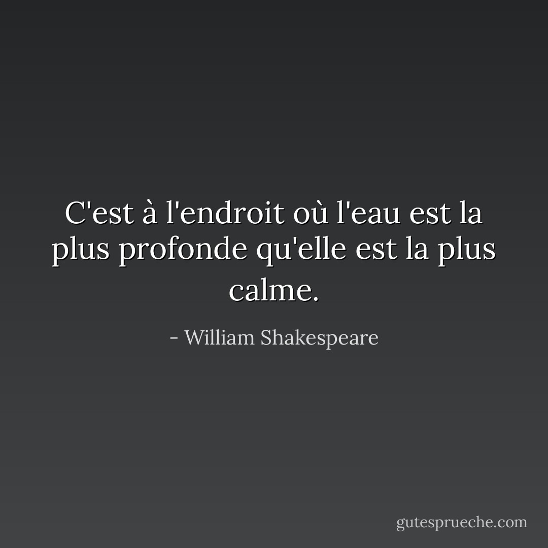 C'est à l'endroit où l'eau est la plus profonde qu'elle est la plus calme. - William Shakespeare