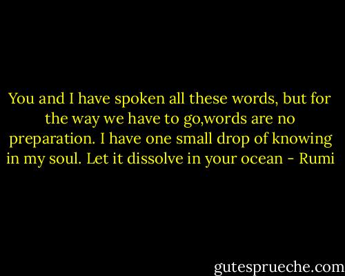 You and I have spoken all these words, but for the way we have to go,words are no preparation. I have one small drop of knowing in my soul. Let it dissolve in your ocean - Rumi