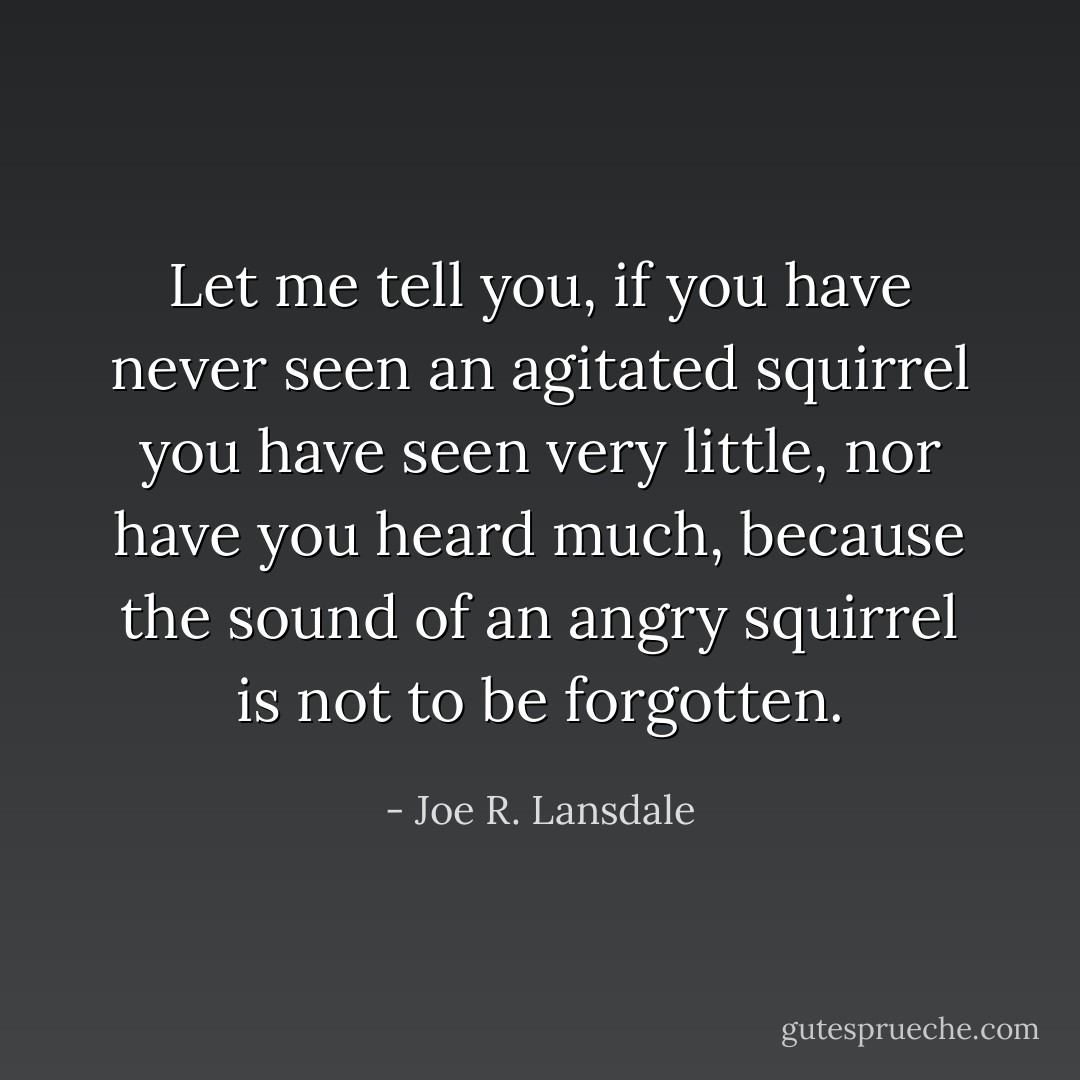 Let me tell you, if you have never seen an agitated squirrel you have seen very little, nor have you heard much, because the sound of an angry squirrel is not to be forgotten. - Joe R. Lansdale