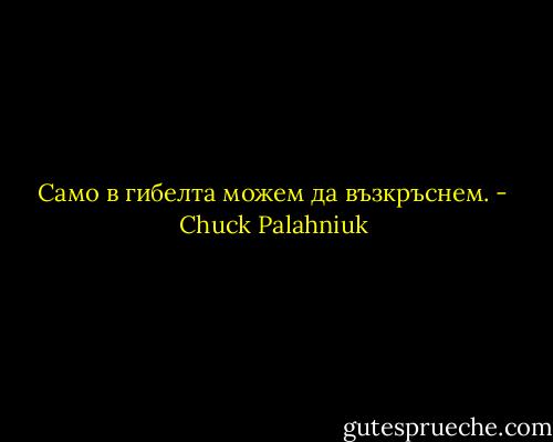 Само в гибелта можем да възкръснем. - Chuck Palahniuk