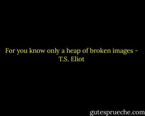 For you know only a heap of broken images - T.S. Eliot