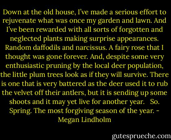 Down at the old house, I’ve made a serious effort to rejuvenate what was once my garden and lawn. And I’ve been rewarded with all sorts of forgotten and neglected plants making surprise appearances. Random daffodils and narcissus. A fairy rose that I thought was gone forever. And, despite some very enthusiastic pruning by the local deer population, the little plum trees look as if they will survive. There is one that is very battered as the deer used it to rub the velvet off their antlers, but it is sending up some shoots and it may yet live for another year. <br /><br />So. Spring. The most forgiving season of the year. - Megan Lindholm