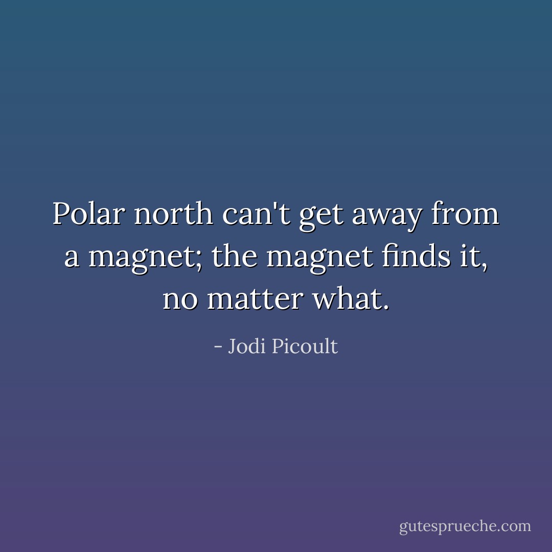 Polar north can't get away from a magnet; the magnet finds it, no matter what. - Jodi Picoult