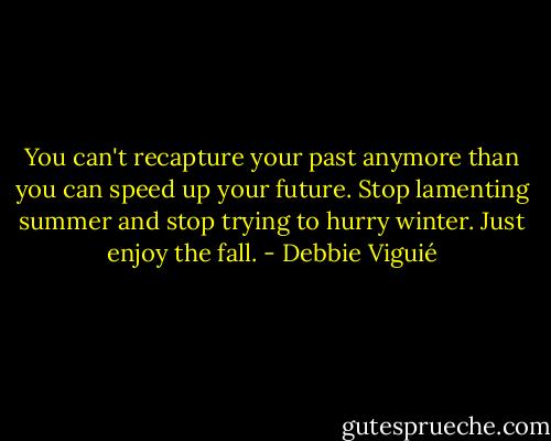 You can't recapture your past anymore than you can speed up your future. Stop lamenting summer and stop trying to hurry winter. Just enjoy the fall. - Debbie Viguié
