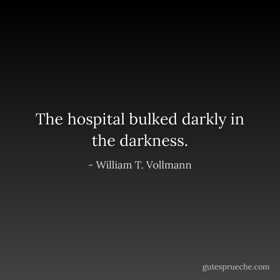 The hospital bulked darkly in the darkness. - William T. Vollmann