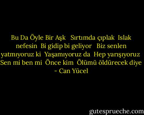Bu Da Öyle Bir Aşk <br /><br />Sırtımda çıplak <br />Islak nefesin <br />Bi gidip bi geliyor <br /><br />Biz senlen yatmıyoruz ki <br />Yaşamıyoruz da <br />Hep yarışıyoruz <br />Sen mi ben mi <br />Önce kim <br />Ölümü öldürecek diye - Can Yücel