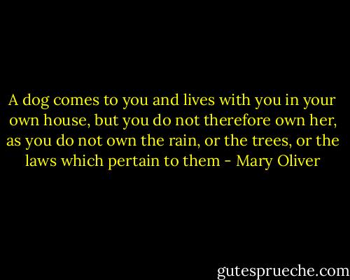 A dog comes to you and lives with you in your own house, but you do not therefore own her, as you do not own the rain, or the trees, or the laws which pertain to them - Mary Oliver