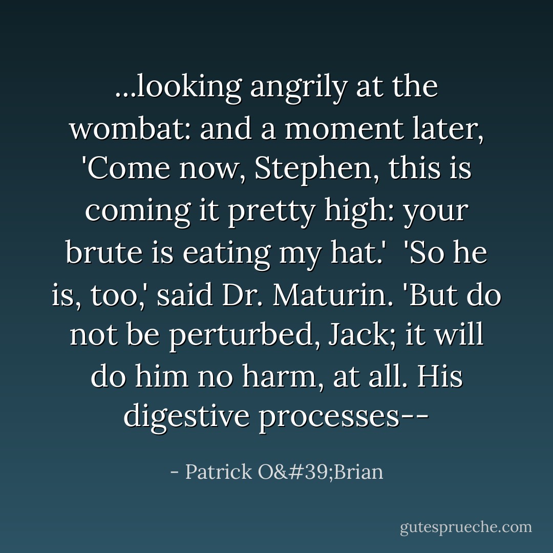 ...looking angrily at the wombat: and a moment later, 'Come now, Stephen, this is coming it pretty high: your brute is eating my hat.' <br />'So he is, too,' said Dr. Maturin. 'But do not be perturbed, Jack; it will do him no harm, at all. His digestive processes-- - Patrick O'Brian