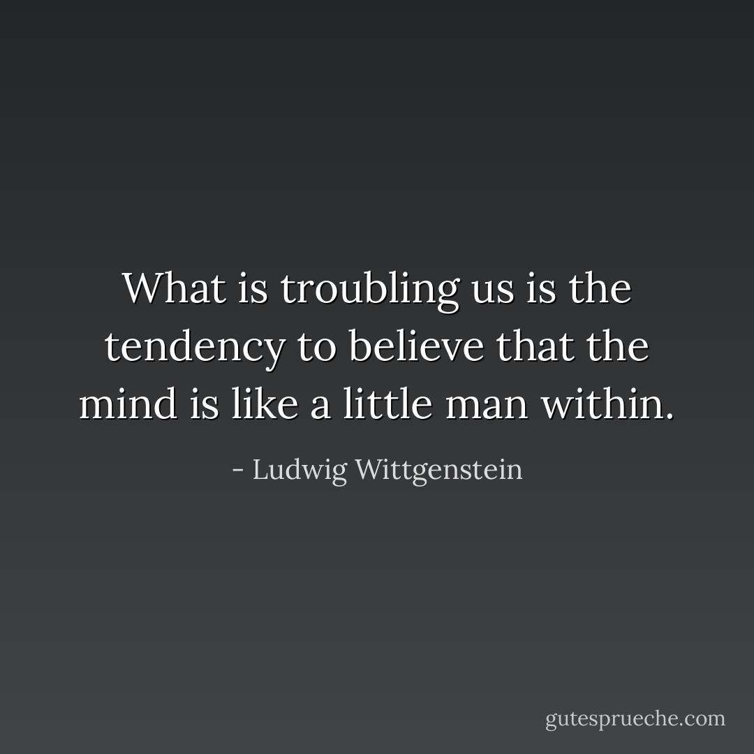 What is troubling us is the tendency to believe that the mind is like a little man within. - Ludwig Wittgenstein
