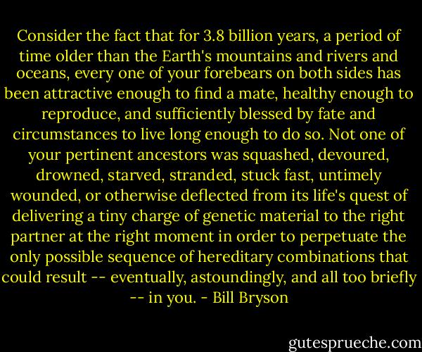 Consider the fact that for 3.8 billion years, a period of time older than the Earth's mountains and rivers and oceans, every one of your forebears on both sides has been attractive enough to find a mate, healthy enough to reproduce, and sufficiently blessed by fate and circumstances to live long enough to do so. Not one of your pertinent ancestors was squashed, devoured, drowned, starved, stranded, stuck fast, untimely wounded, or otherwise deflected from its life's quest of delivering a tiny charge of genetic material to the right partner at the right moment in order to perpetuate the only possible sequence of hereditary combinations that could result -- eventually, astoundingly, and all too briefly -- in you. - Bill Bryson
