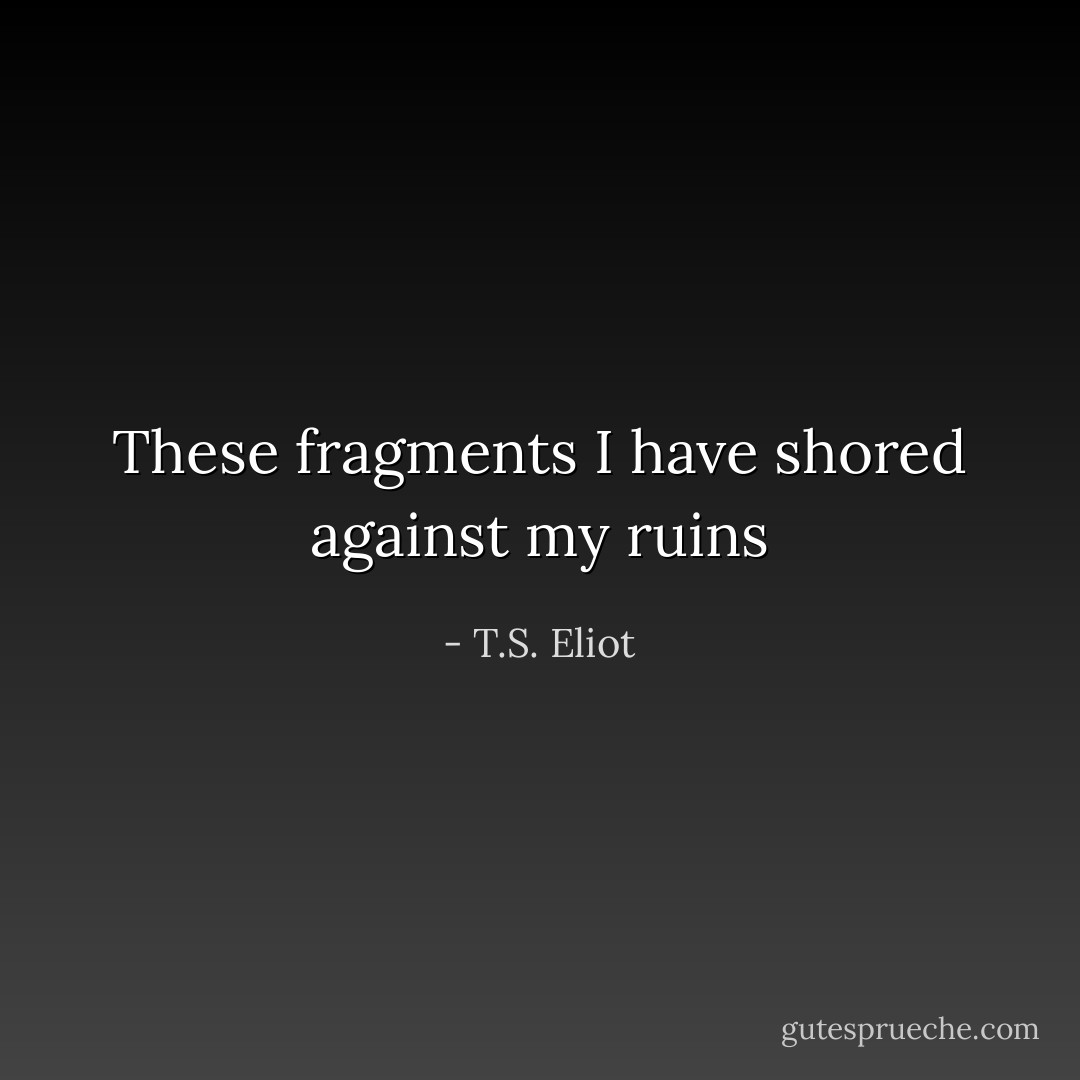 These fragments I have shored against my ruins - T.S. Eliot