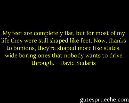 My feet are completely flat, but for most of my life they were still shaped like feet. Now, thanks to bunions, they're shaped more like states, wide boring ones that nobody wants to drive through. - David Sedaris