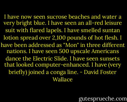 I have now seen sucrose beaches and water a very bright blue. I have seen an all-red leisure suit with flared lapels. I have smelled suntan lotion spread over 2,100 pounds of hot flesh. I have been addressed as "Mon" in three different nations. I have seen 500 upscale Americans dance the Electric Slide. I have seen sunsets that looked computer-enhanced. I have (very briefly) joined a conga line. - David Foster Wallace