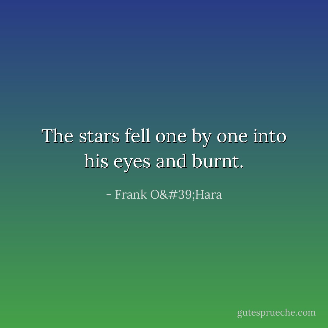 The stars fell<br />one by one into his eyes and burnt. - Frank O'Hara
