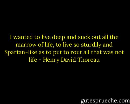 I wanted to live deep and suck out all the marrow of life, to live so sturdily and Spartan-like as to put to rout all that was not life - Henry David Thoreau