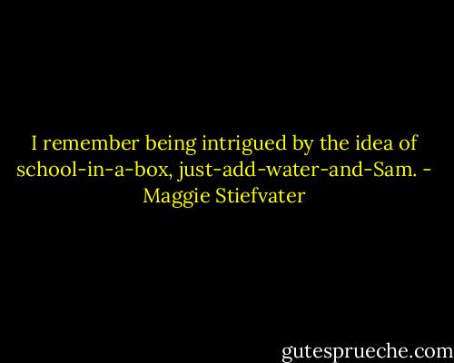 I remember being intrigued by the idea of school-in-a-box, just-add-water-and-Sam. - Maggie Stiefvater