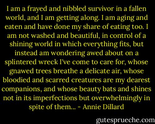 I am a frayed and nibbled survivor in a fallen world, and I am getting along. I am aging and eaten and have done my share of eating too. I am not washed and beautiful, in control of a shining world in which everything fits, but instead am wondering awed about on a splintered wreck I've come to care for, whose gnawed trees breathe a delicate air, whose bloodied and scarred creatures are my dearest companions, and whose beauty bats and shines not in its imperfections but overwhelmingly in spite of them... - Annie Dillard