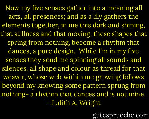 Now my five senses<br />gather into a meaning<br />all acts, all presences;<br />and as a lily gathers<br />the elements together,<br />in me this dark and shining,<br />that stillness and that moving,<br />these shapes that spring from nothing,<br />become a rhythm that dances,<br />a pure design.<br /><br />While I'm in my five senses<br />they send me spinning<br />all sounds and silences,<br />all shape and colour<br />as thread for that weaver,<br />whose web within me growing<br />follows beyond my knowing<br />some pattern sprung from nothing-<br />a rhythm that dances<br />and is not mine. - Judith A. Wright
