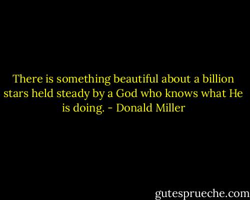 There is something beautiful about a billion stars held steady by a God who knows what He is doing. - Donald Miller