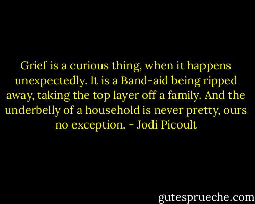 Grief is a curious thing, when it happens unexpectedly. It is a Band-aid being ripped away, taking the top layer off a family. And the underbelly of a household is never pretty, ours no exception. - Jodi Picoult