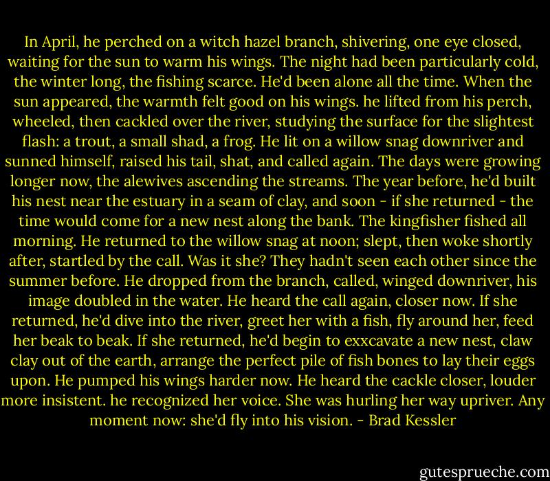 In April, he perched on a witch hazel branch, shivering, one eye closed, waiting for the sun to warm his wings. The night had been particularly cold, the winter long, the fishing scarce.<br />He'd been alone all the time.<br />When the sun appeared, the warmth felt good on his wings. he lifted from his perch, wheeled, then cackled over the river, studying the surface for the slightest flash: a trout, a small shad, a frog. He lit on a willow snag downriver and sunned himself, raised his tail, shat, and called again. The days were growing longer now, the alewives ascending the streams. The year before, he'd built his nest near the estuary in a seam of clay, and soon - if she returned - the time would come for a new nest along the bank.<br />The kingfisher fished all morning. He returned to the willow snag at noon; slept, then woke shortly after, startled by the call. Was it she? They hadn't seen each other since the summer before.<br />He dropped from the branch, called, winged downriver, his image doubled in the water. He heard the call again, closer now. If she returned, he'd dive into the river, greet her with a fish, fly around her, feed her beak to beak. If she returned, he'd begin to exxcavate a new nest, claw clay out of the earth, arrange the perfect pile of fish bones to lay their eggs upon.<br />He pumped his wings harder now. He heard the cackle closer, louder more insistent. he recognized her voice. She was hurling her way upriver.<br />Any moment now: she'd fly into his vision. - Brad Kessler