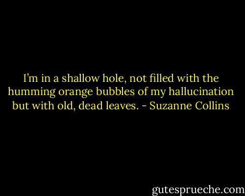 I’m in a shallow hole, not filled with the humming orange bubbles of my hallucination but with old, dead leaves. - Suzanne Collins