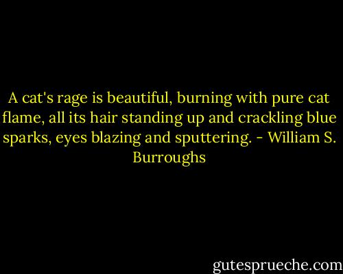 A cat's rage is beautiful, burning with pure cat flame, all its hair standing up and crackling blue sparks, eyes blazing and sputtering. - William S. Burroughs