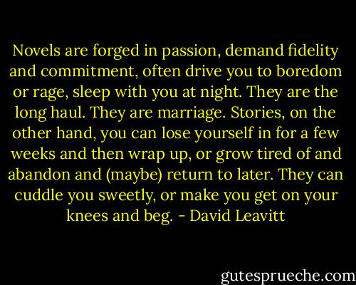 Novels are forged in passion, demand fidelity and commitment, often drive you to boredom or rage, sleep with you at night. They are the long haul. They are marriage. Stories, on the other hand, you can lose yourself in for a few weeks and then wrap up, or grow tired of and abandon and (maybe) return to later. They can cuddle you sweetly, or make you get on your knees and beg. - David Leavitt