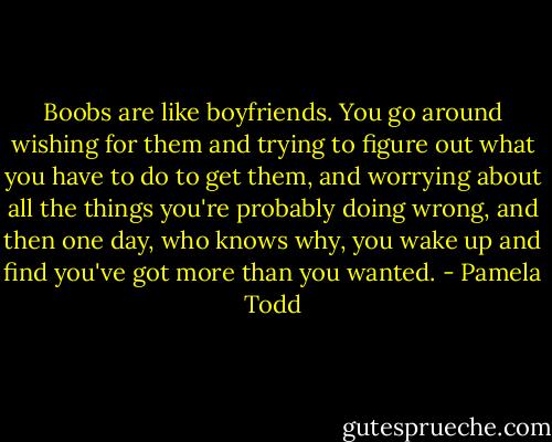 Boobs are like boyfriends. You go around wishing for them and trying to figure out what you have to do to get them, and worrying about all the things you're probably doing wrong, and then one day, who knows why, you wake up and find you've got more than you wanted. - Pamela Todd