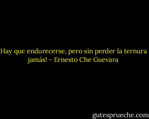 Hay que endurecerse, pero sin perder la ternura jamás! - Ernesto Che Guevara